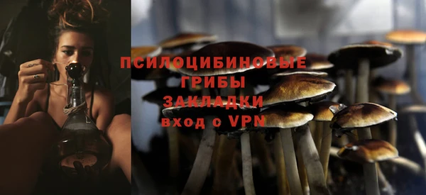 мдпв Навашино