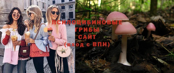 мдпв Навашино